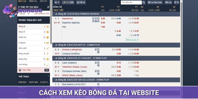 Cách xem kèo bóng đá tại website đúng Cách xem kèo bóng đá tại website đúng