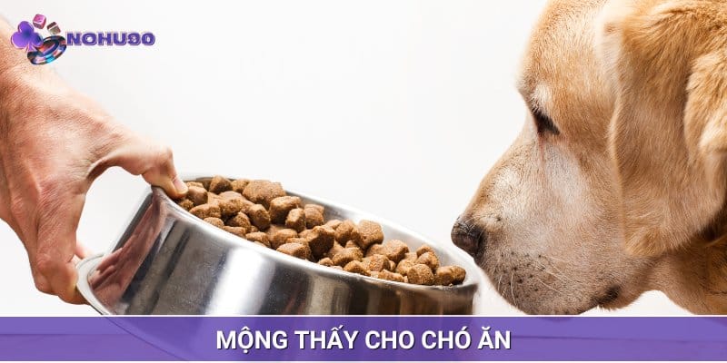 Mộng thấy cho chó ăn nói đến bạn sẽ nhận được những sự giúp đỡ tối đa Mộng thấy cho chó ăn nói đến bạn sẽ nhận được những sự giúp đỡ tối đa